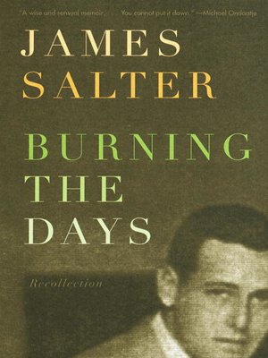 cover image of Burning the Days